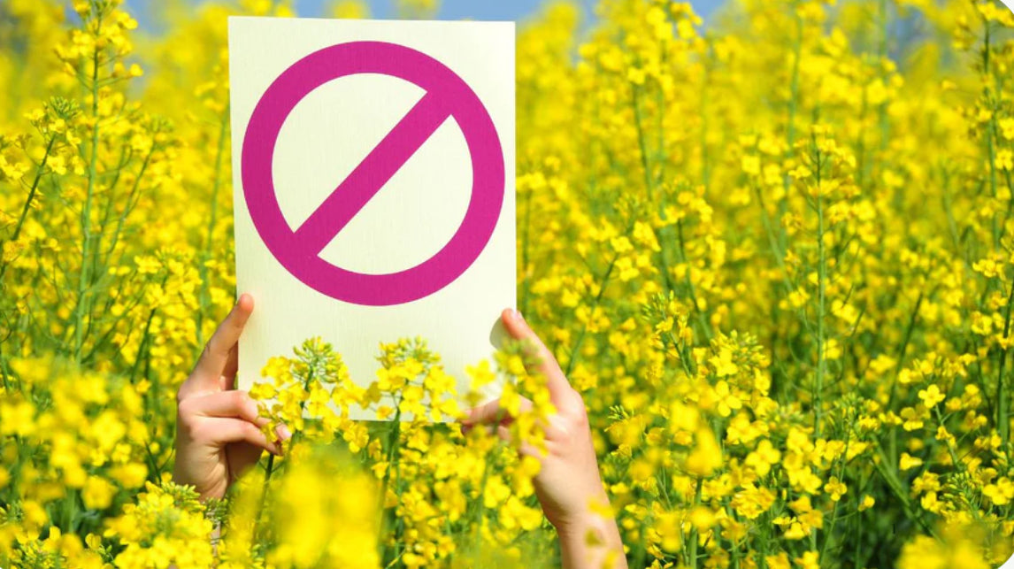 La prohibición del HHC en España y las alternativas que ofrece GreenatureCBD