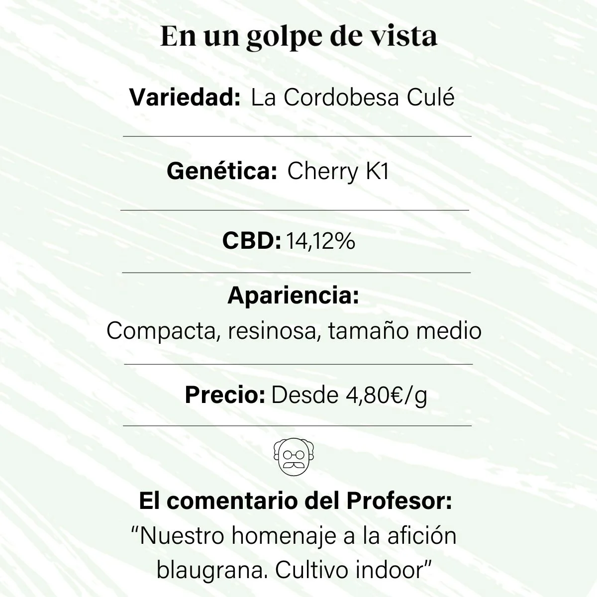 Cogollo de Flor Aromática de CBD al 14,12% · La Cordobesa CBD Culé