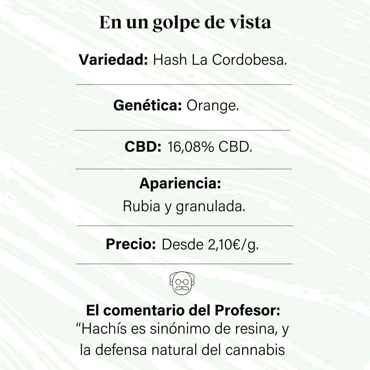 PROFESOR CBD