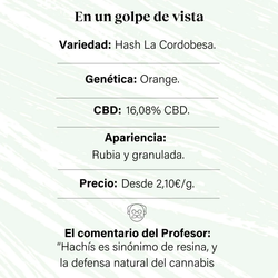 Image of PROFESOR CBD