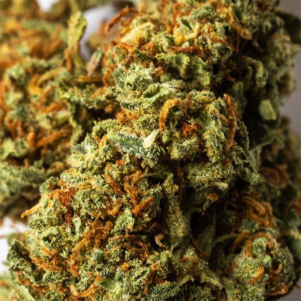 Image of Cogollo de Flor Aromática de CBD al 14,12% · La Cordobesa CBD Culé