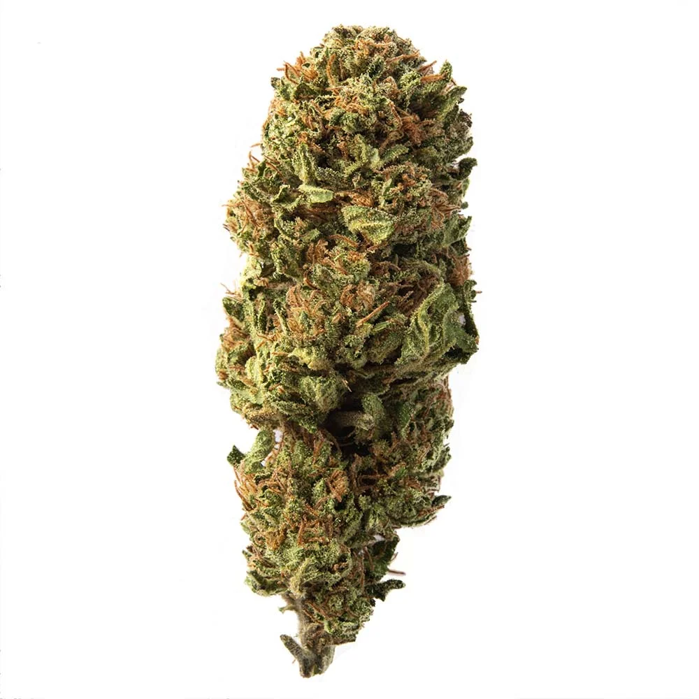 Image of florcbd-0011