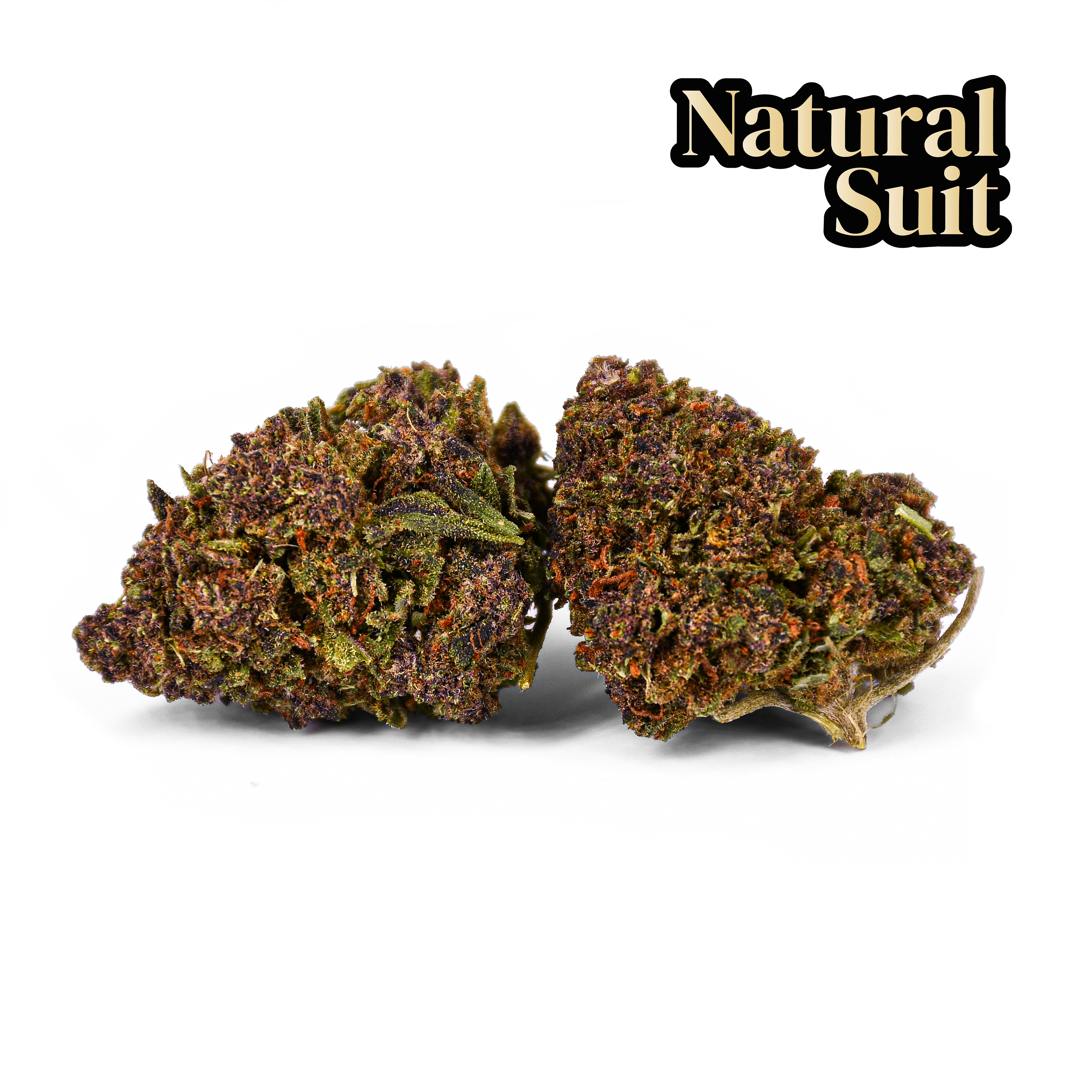 Image of PURPLE QUEEN